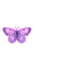 *-Butterfly